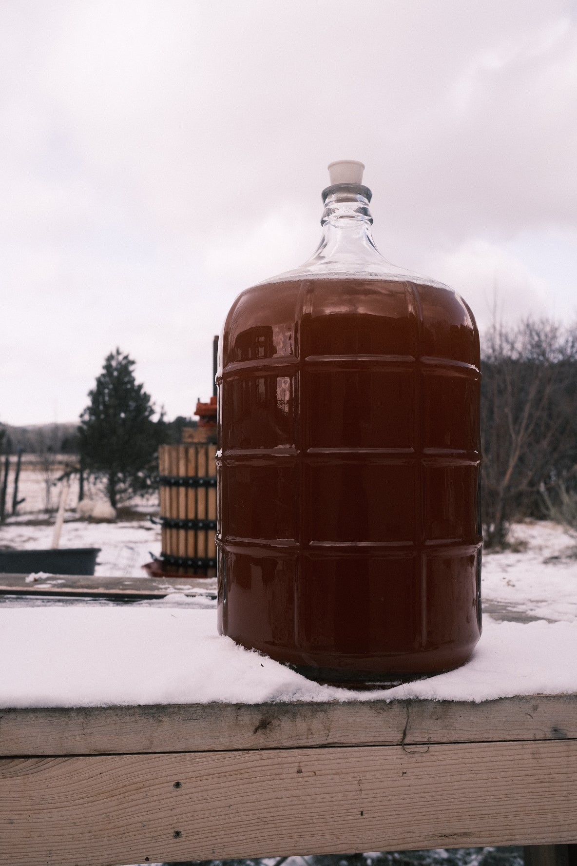 'SIEMPRE SIDRA' cider share