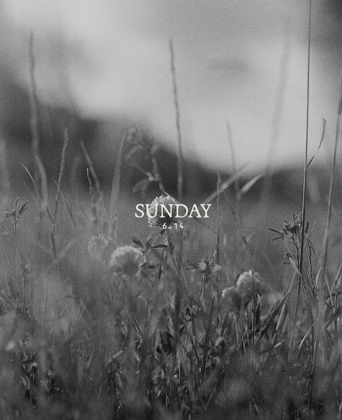 JUNE 14