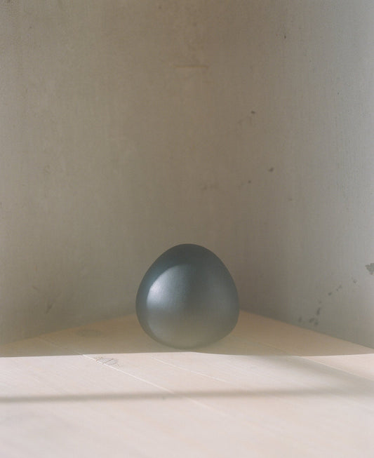 Bulb vessel - BV_003