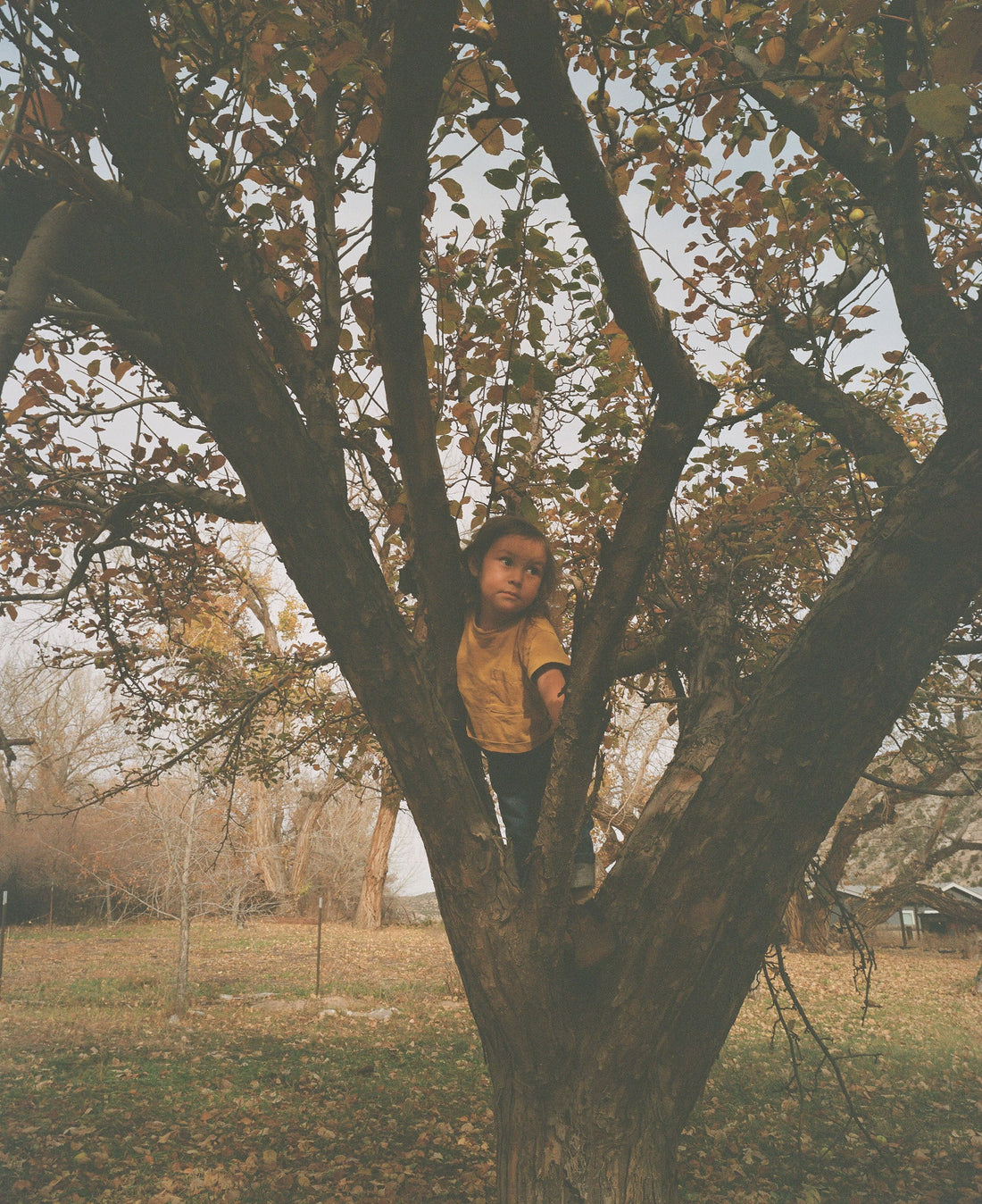 Florá Ines Ortiz-Concha // Autumn 2025