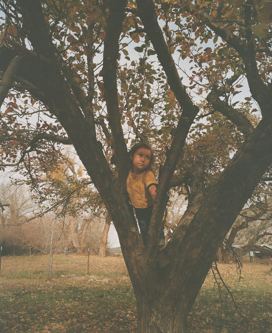 Florá Ines Ortiz-Concha // Autumn 2025