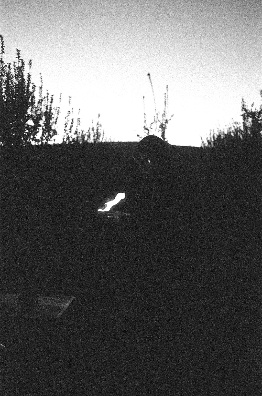 Jason Goodhue // Velarde NM 2019