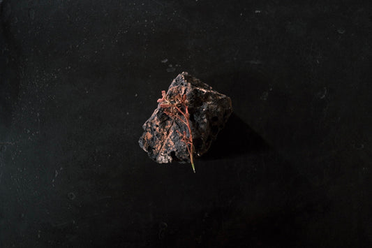 verdolarga | canyon grape | chockecherry skin