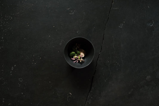 fava bean - verdolarga / lovage / clover / quesos