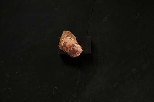 Criollo - liver / chokecherry / sourdough