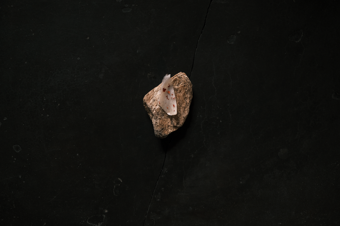 Bison fat - salt / native barberry