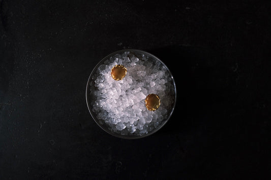 ditch plum | gumweed