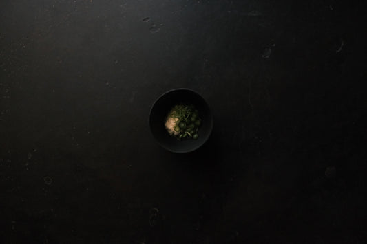 feral asparagus - lovage / fir / quesos