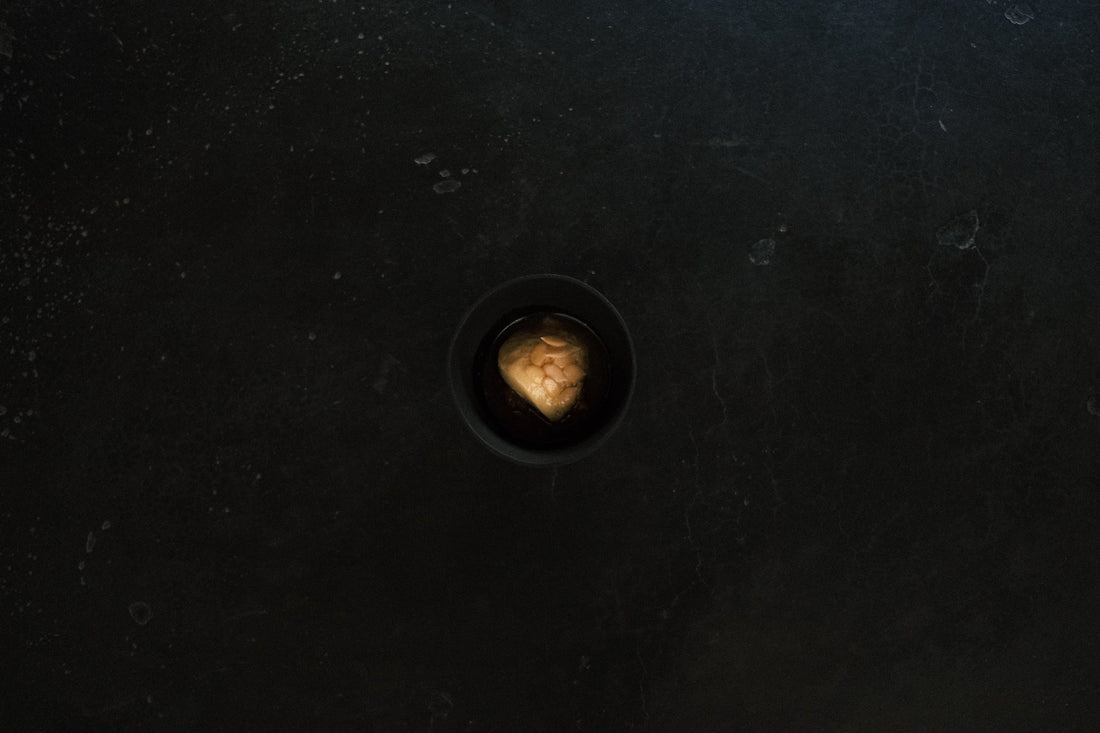 dolores’s milk | pumpkin and it’s seeds | juniper