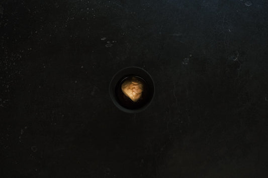 dolores’s milk | pumpkin and it’s seeds | juniper