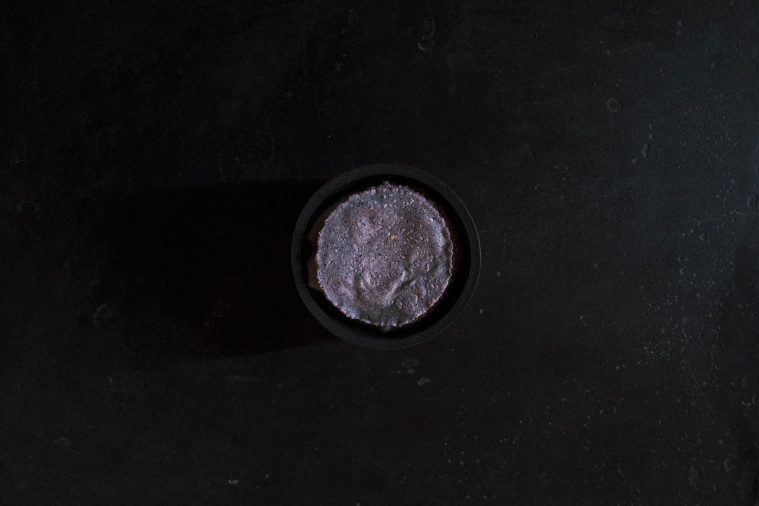 our blue corn | cedar ash