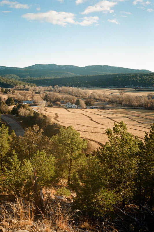 'Propietario' ( supporting member )