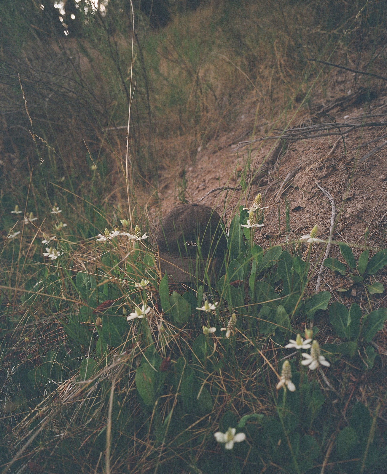 'Parciante' HAT - PH_001