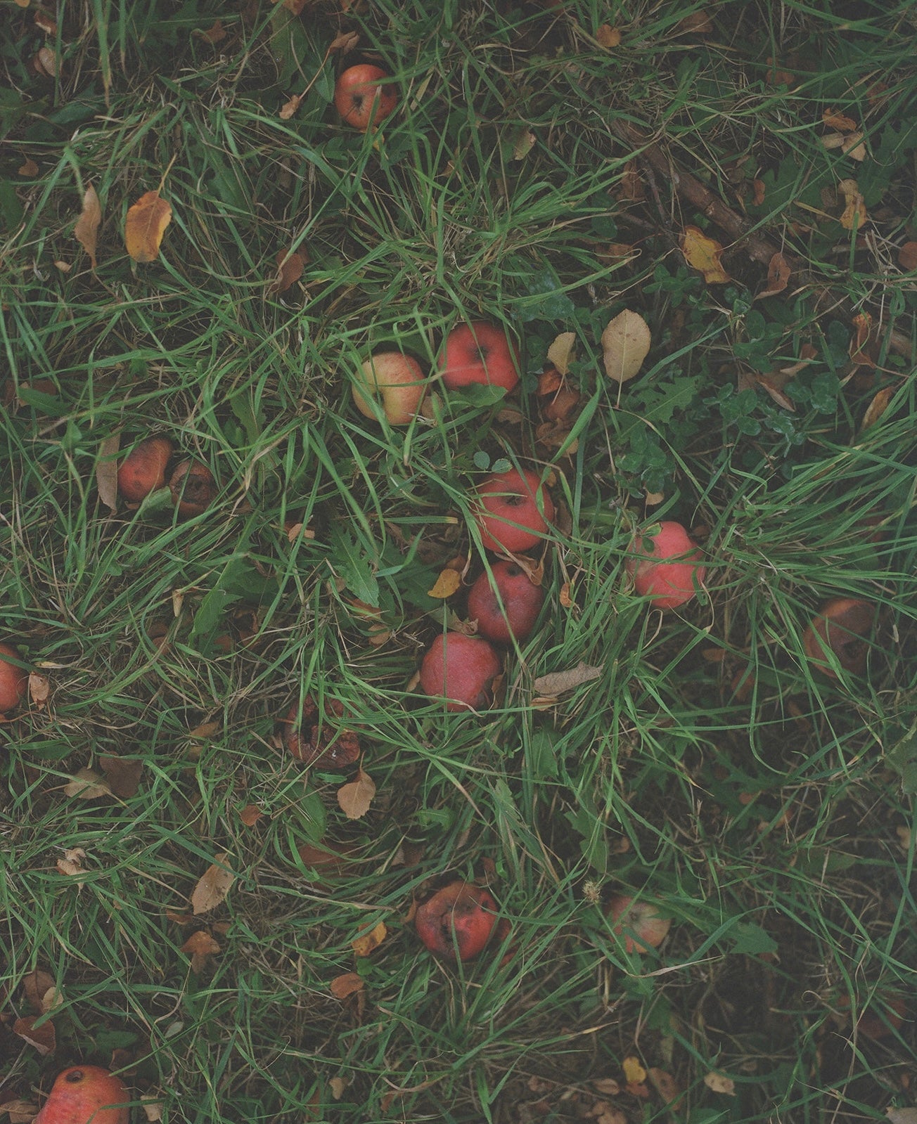 'SIEMPRE SIDRA' vinegar